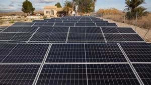Parque solar instalado junto a la balsa de Sivaes en Elche que se inauguró en 2021 para ahorrar costes eléctricos a los regantes.