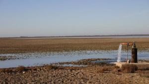 El Gobierno destina 100 millones a comprar fincas y derechos de agua en Doñana