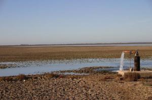 El Gobierno destina 100 millones a comprar fincas y derechos de agua en Doñana