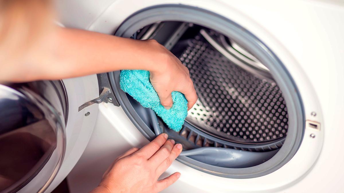 La sustancia mágica para las lavadoras: limpia, da buen olor y respeta el  medioambiente | El Periódico de España