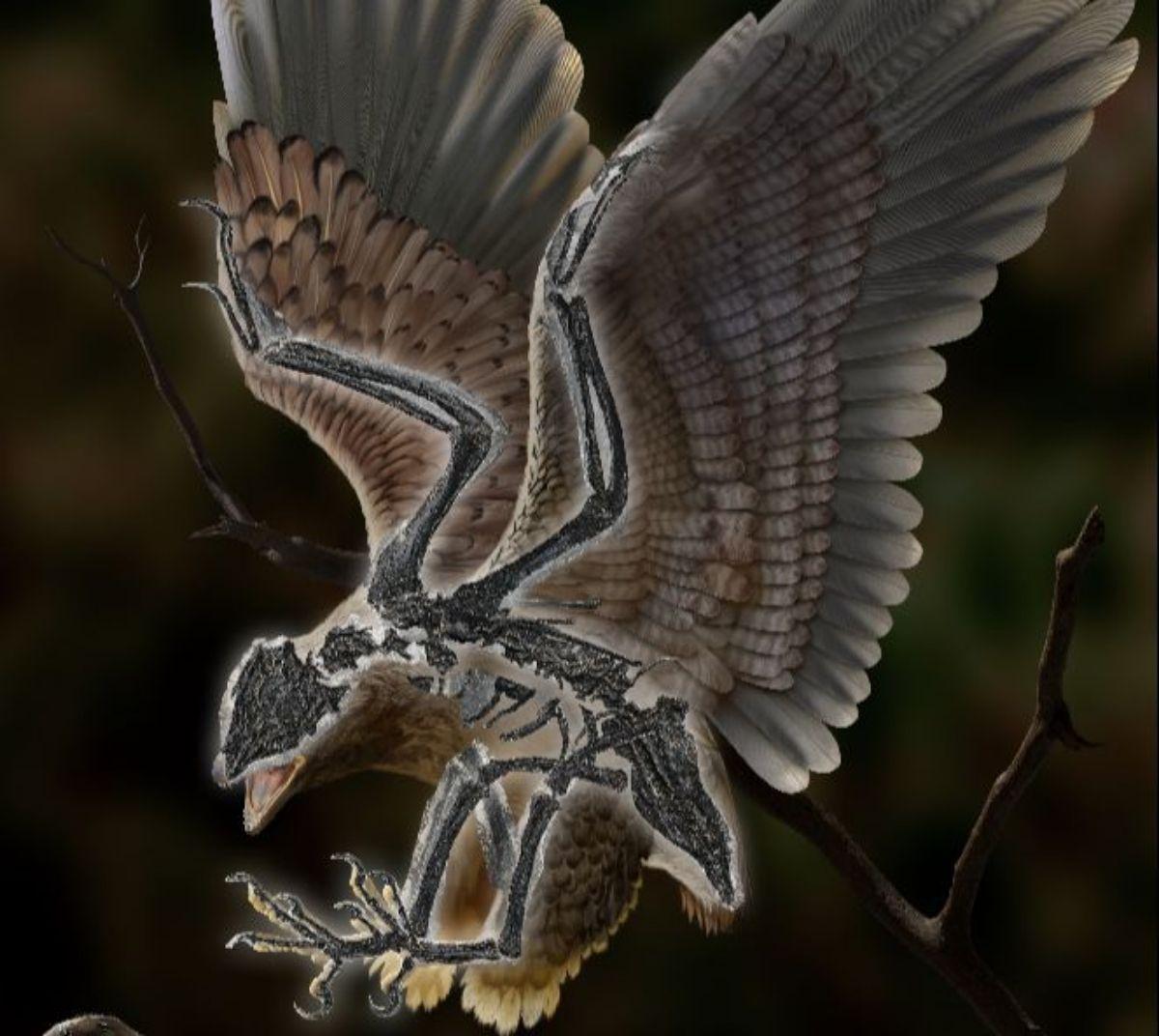 Descubren el fósil de un extraño pájaro con cabeza de dinosaurio