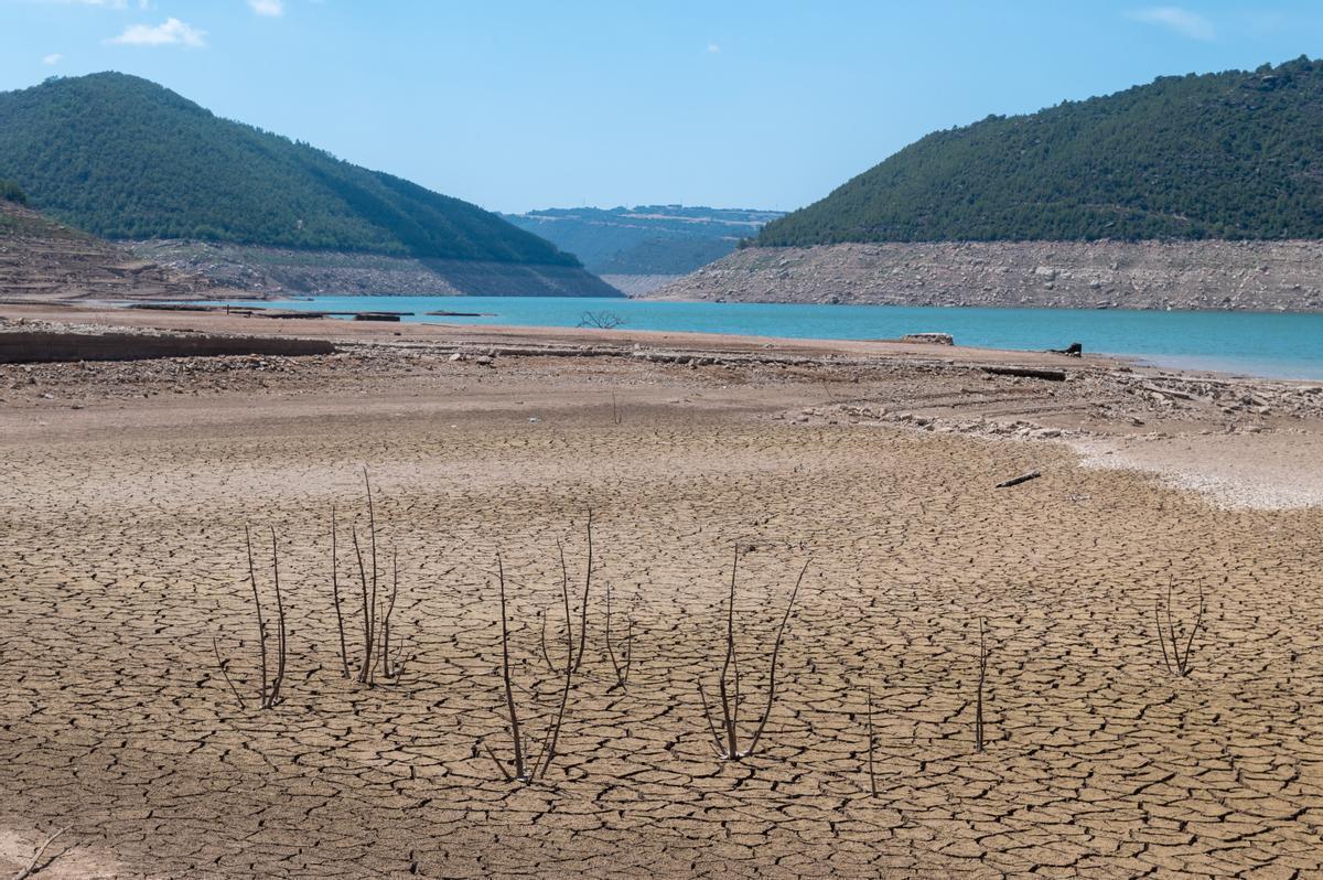 Andalucía se enfrenta a la sequía tras un "nefasto" año hidrológico