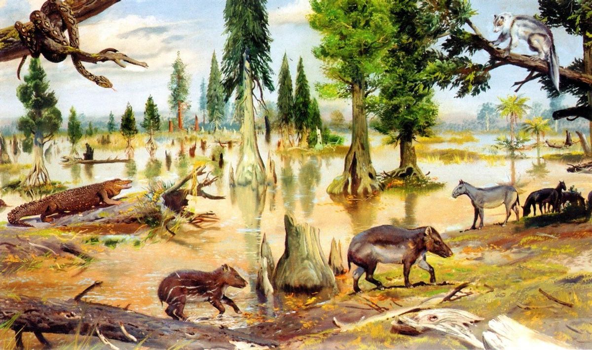 El cambio climático actual repite el esquema del que hubo hace 56 millones de años El cambio climático actual repite el esquema del que hubo hace 56 millones de años