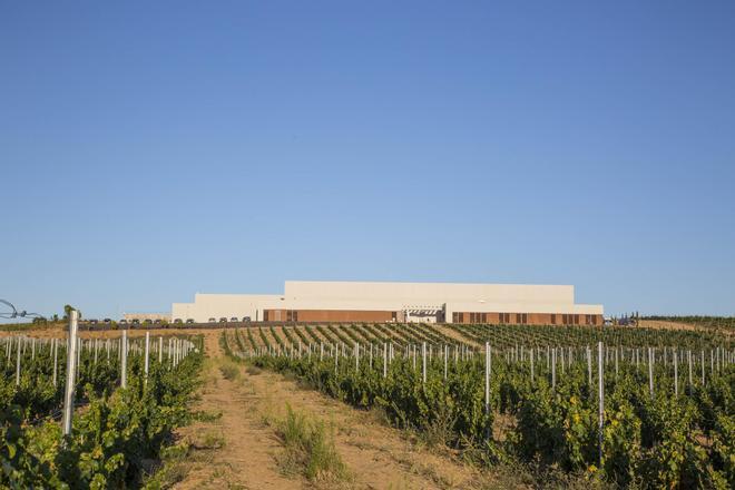 Una de las bodegas de Ramón Bilbao en Valladolid, del grupo Zamora Company. 