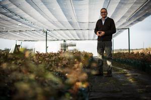 El empresario Magid Rahmati en su plantación de pistachos de Moraleja.