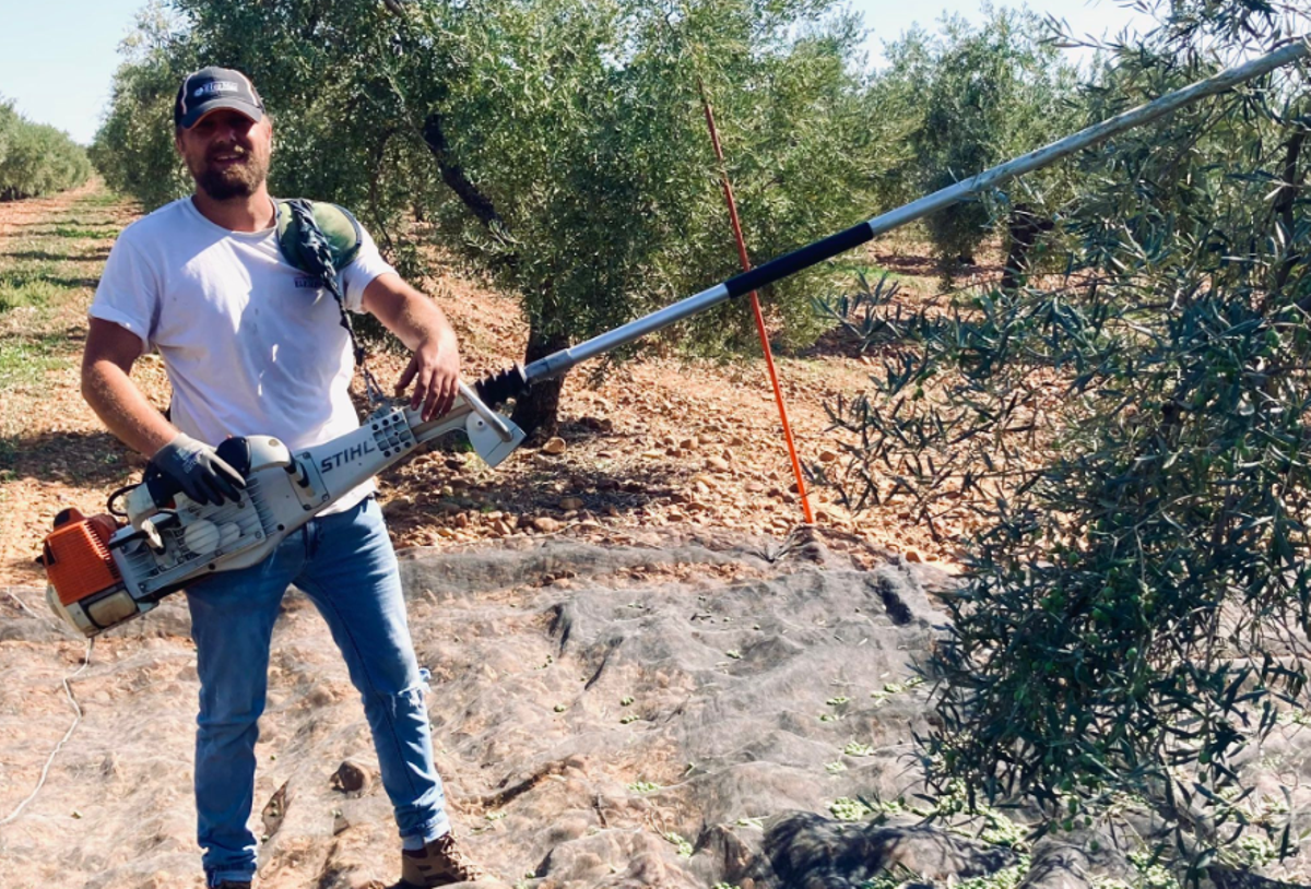 El joven agricultor Tom Rohde, fumiga los olivos de sus tierras