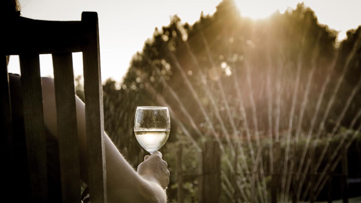 Los vinos blancos son perfectos para el verano.