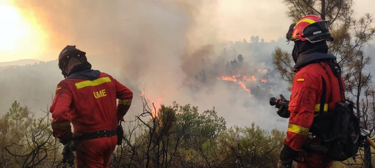 Efectivos de la UME trabajan incendio forestal de Castellón.