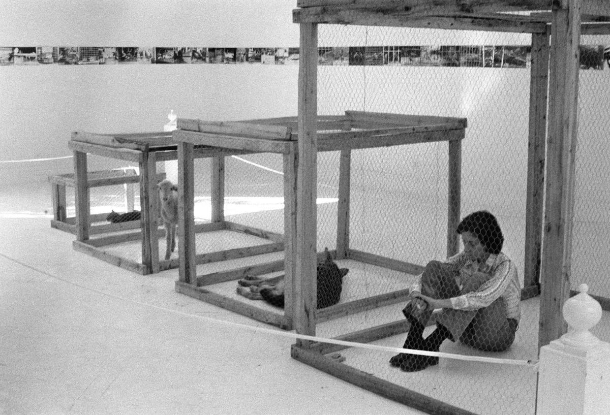 ’Imágenes del zoo (1974/2020)’. ’Imágenes del zoo (1974/2020)’.