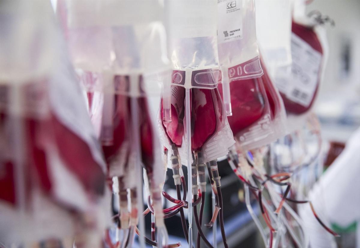 Bolsas de transfusión de sangre