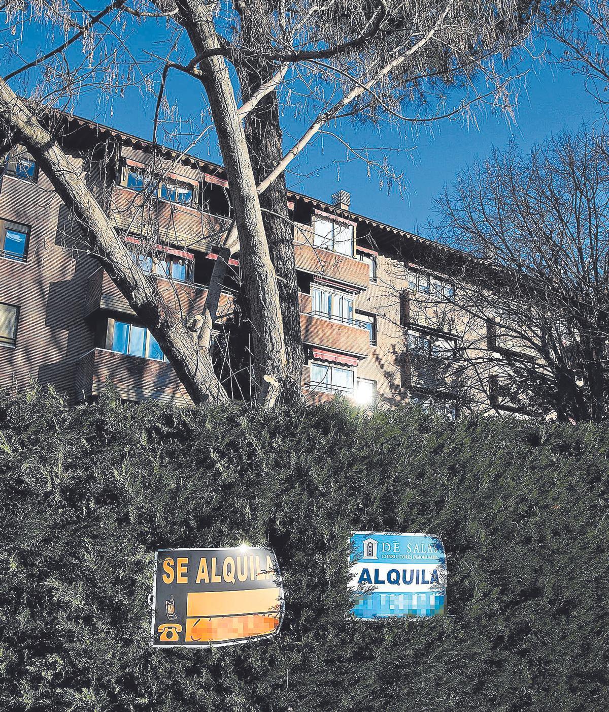 Carteles de alquiler de pisos en una urbanización de Madrid Carteles de alquiler de pisos en una urbanización de Madrid