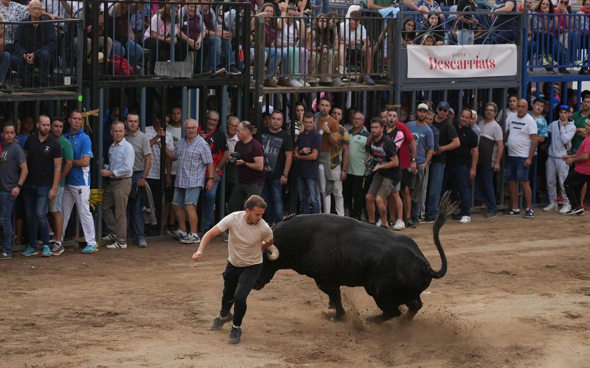 El 2023 llegará con incertidumbre en los 'bous al carrer' por los seguros El 2023 llegará con incertidumbre en los 'bous al carrer' por los seguros