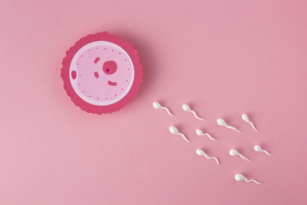 6 recomendaciones para aumentar la fertilidad femenina