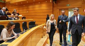 Feijóo acompañado de Javier Maroto y Amelia Salanueva en el Senado.