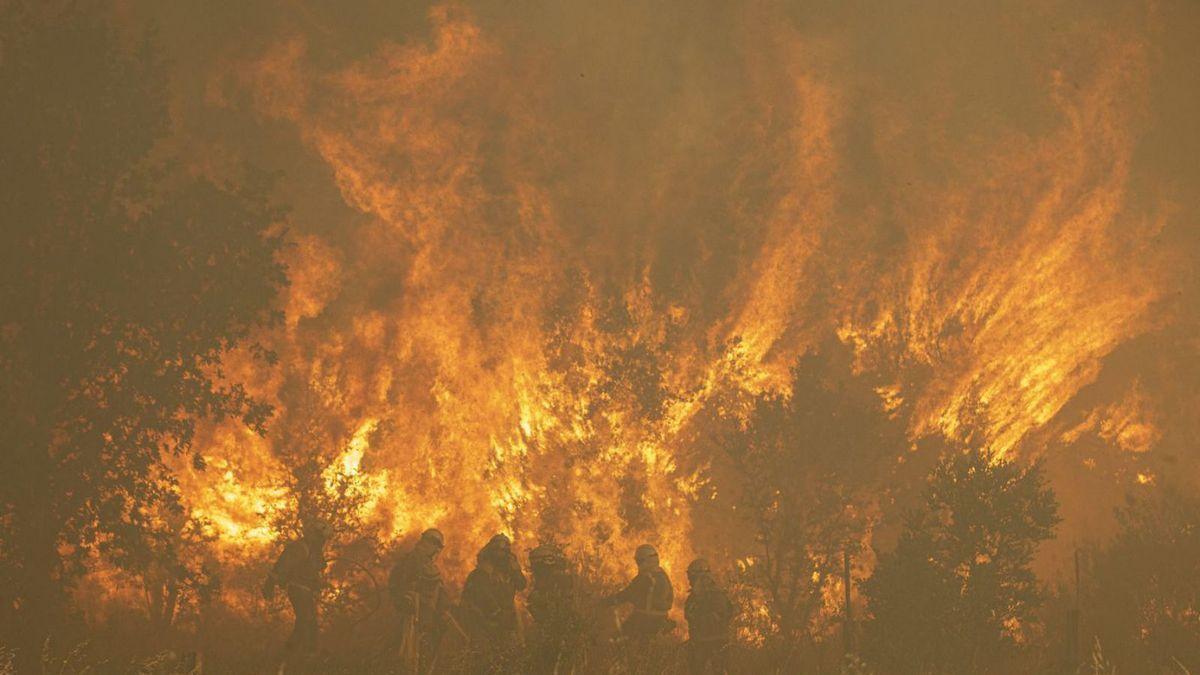 Una plataforma geoespacial para afrontar los incendios forestales de Zamora