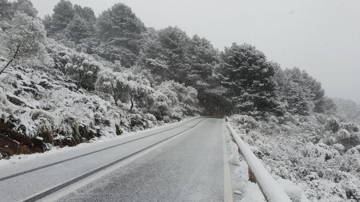La borrasca Juliette provoca una nevada histórica en Mallorca: de la Serra de Tramuntana a la arena de Cala Santanyí