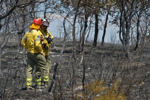 Varios bomberos en la zona afectada por el incendio forestal originado ayer en Humanes (Guadalajara). EFE/ Nacho Izquierdo