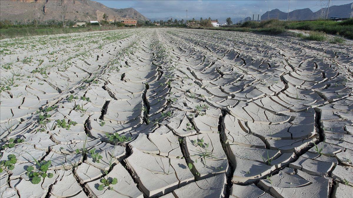 El campo dispondrá de 450 millones de euros en medidas de apoyo por la sequía
