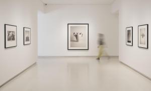 Vista de la exposición, con el jarrón-cabra inspirado en Picasso al fondo. 
