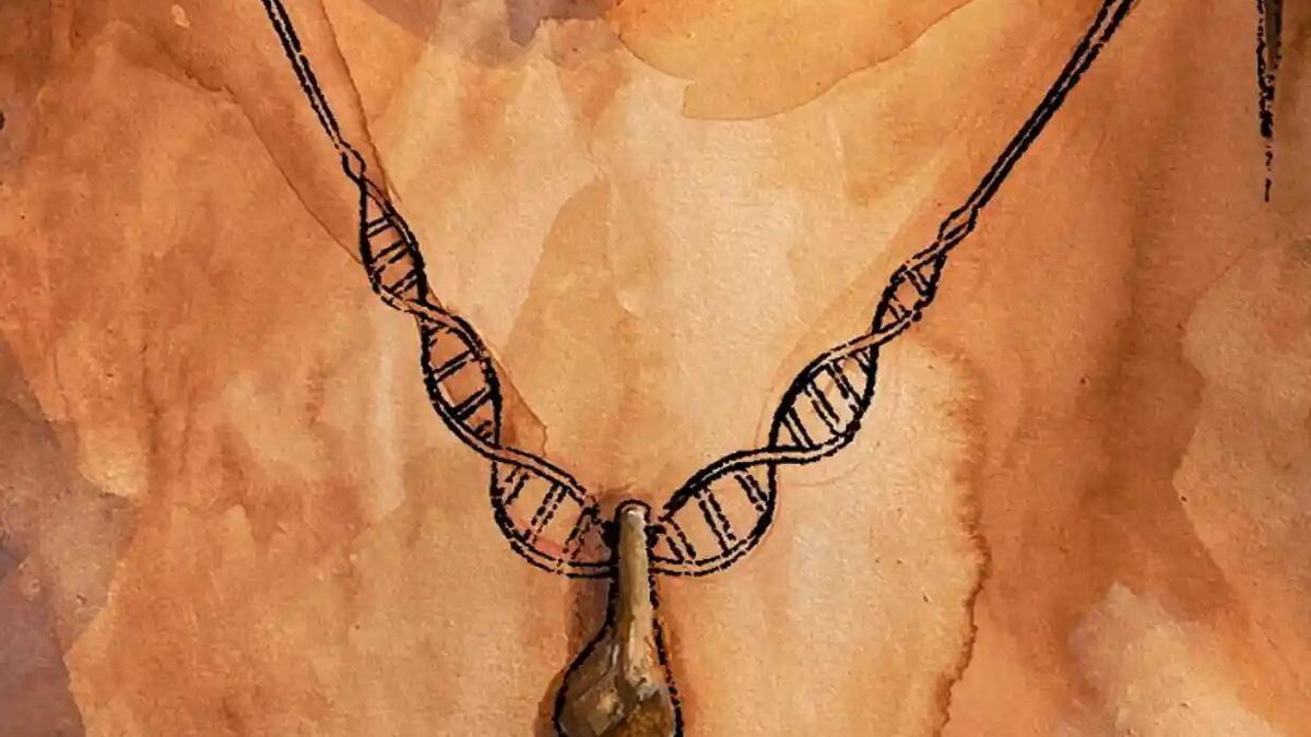 Recuperan el ADN antiguo de una de la Edad de Piedra | Periódico de España