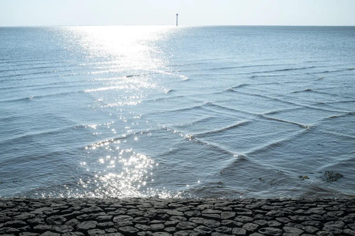 El misterio de las olas cuadradas: ¿Cómo se forman?