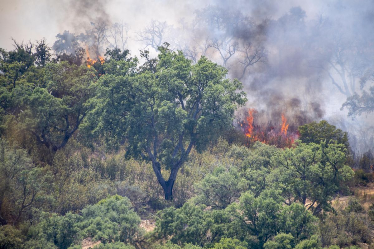 Incendio activo en el Parque Nacional de Monfragüe, en el municipio de Deleitosa (Cáceres). Incendio activo en el Parque Nacional de Monfragüe, en el municipio de Deleitosa (Cáceres).