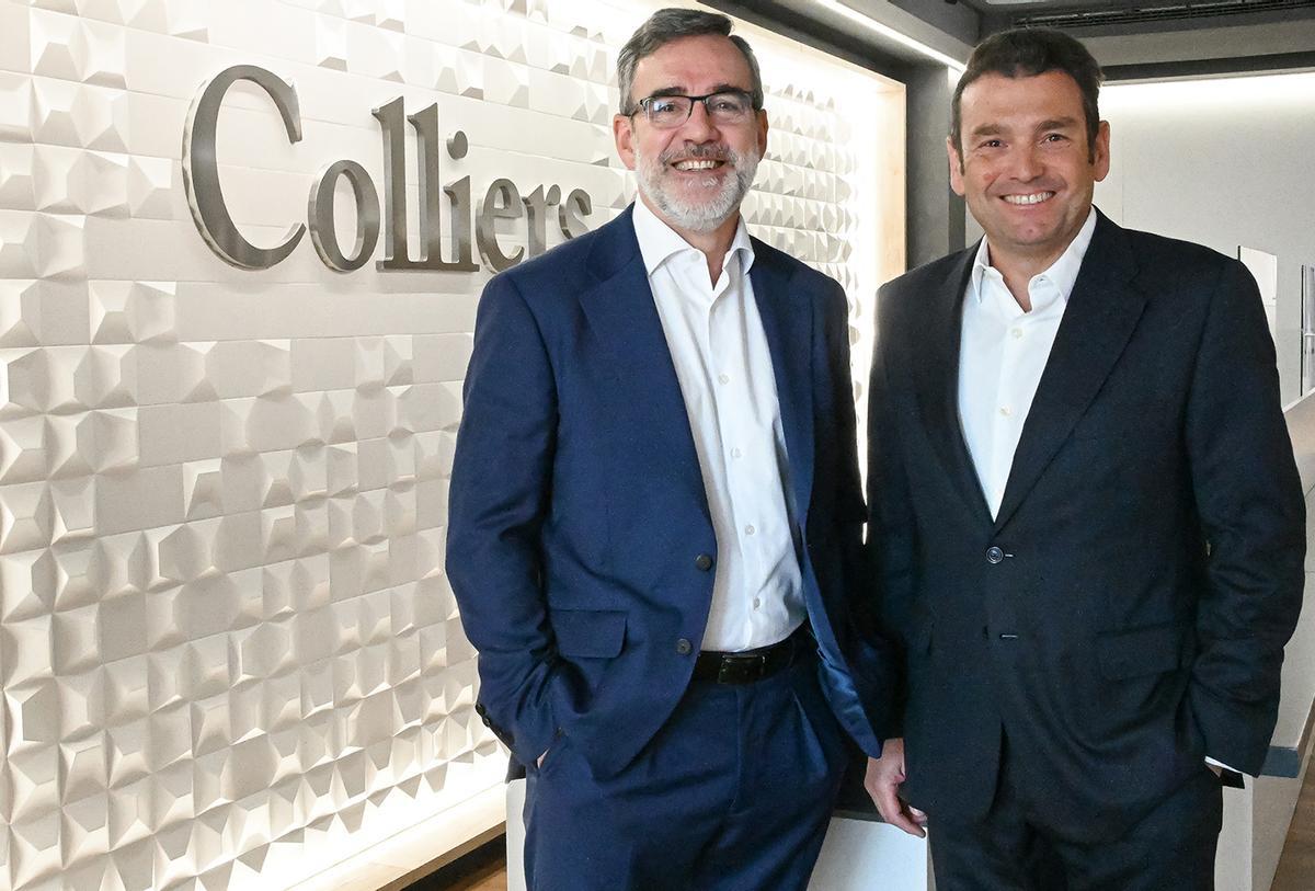 Colliers Spain Board Management